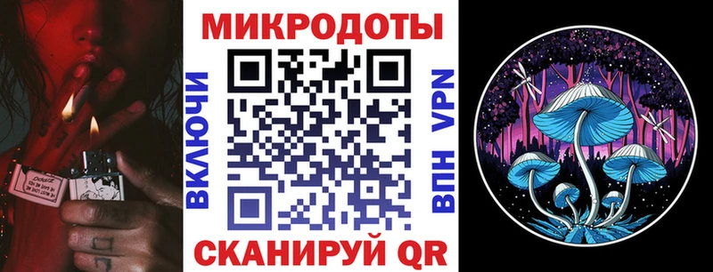 купить наркоту  Ленинградская  Галлюциногенные грибы прущие грибы 